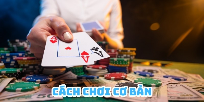 Cách chơi bài Catte cơ bản và dễ hiểu cho người mới bắt đầu