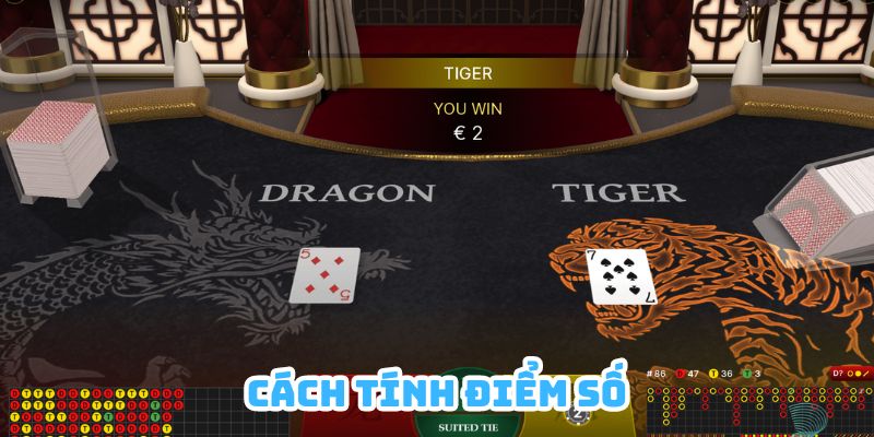 Tìm hiểu về cách tính điểm số khi chơi Dragon Tiger hiện nay 